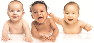 DBL - Dunstan Babysprache in Deutschland, Österreich und der Schweiz